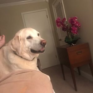 Meet your Posher, Geoff